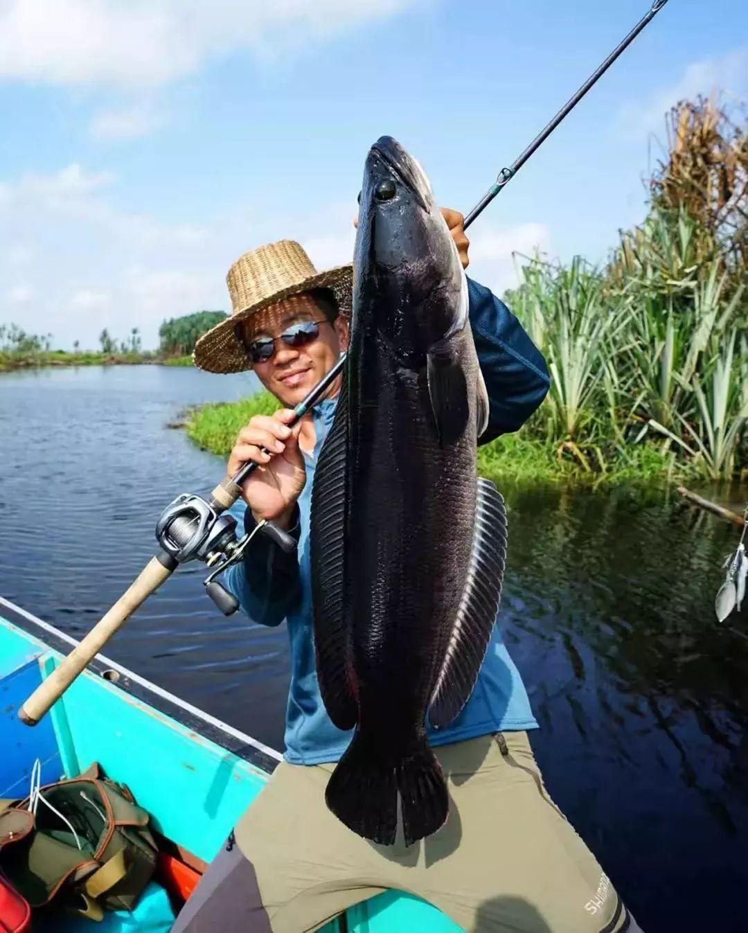 专访龚磊中国路亚第一人是怎么练成的