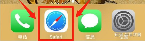 什么是safari 知乎