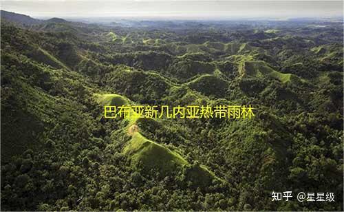 世界十大森林 森林景色迷人被誉为“地球之肺” - 知乎