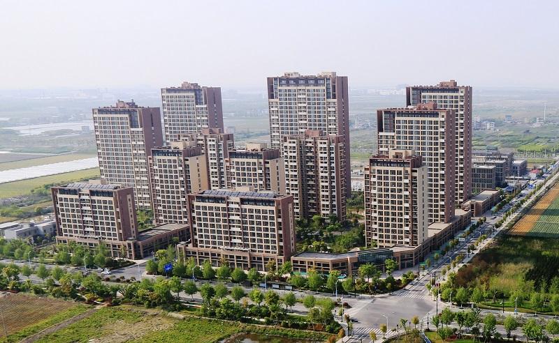 杭州钱塘新区前进街道美丽城镇绘就新蓝图