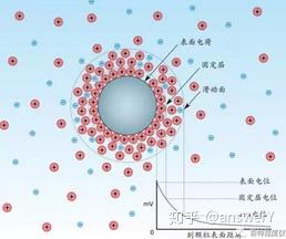 细胞下的介观世界 - 知乎