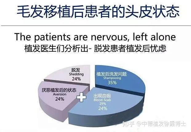 植发后清理血痂会掉毛囊吗? - 知乎