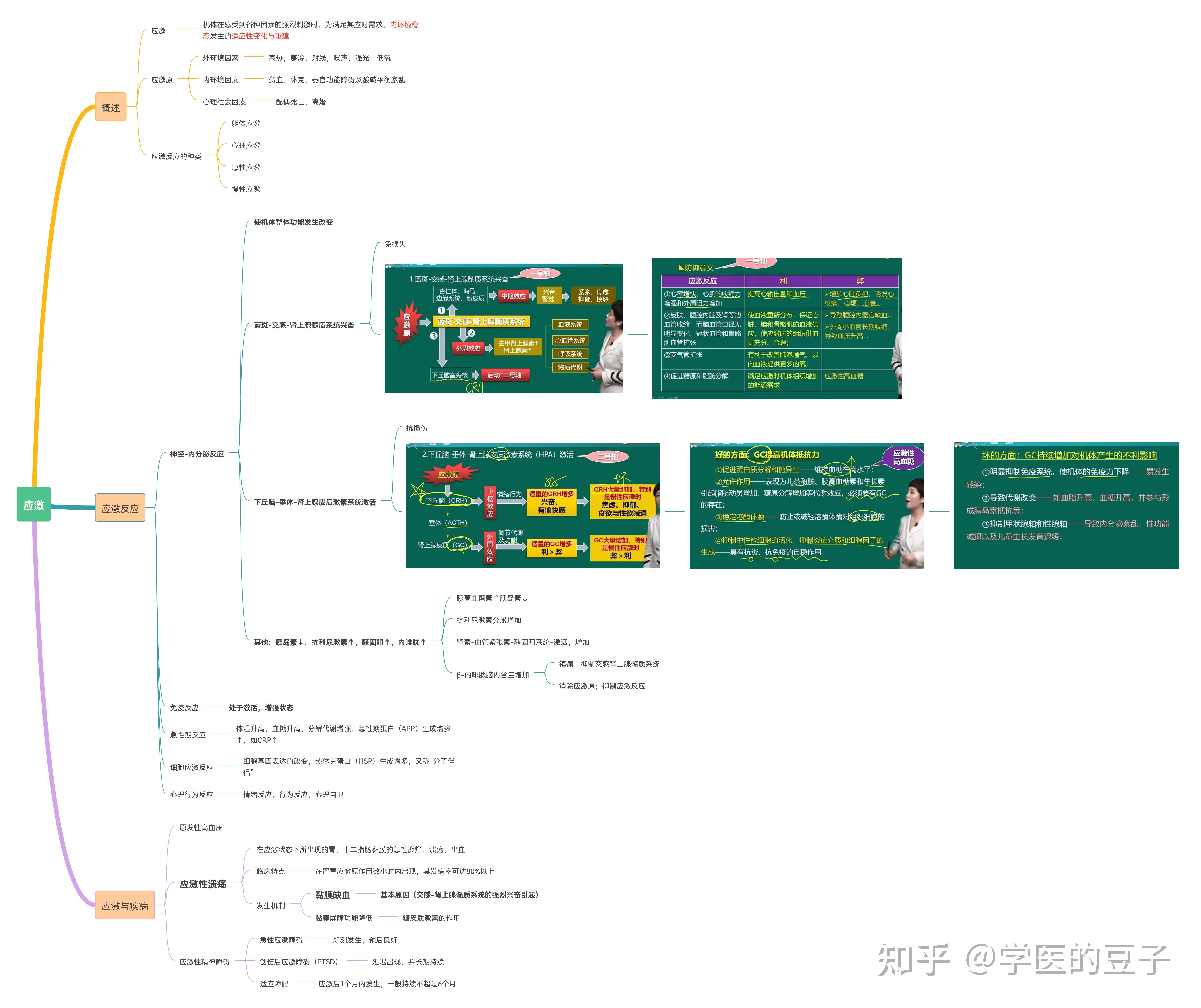 病理生理學(景晴版)思維導圖 - 知乎