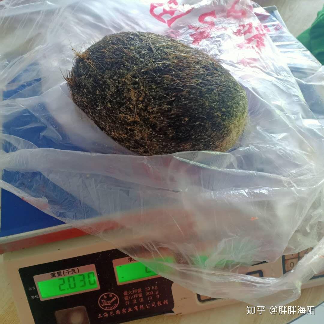 家里杀猪杀出猪宝值钱吗哪里卖