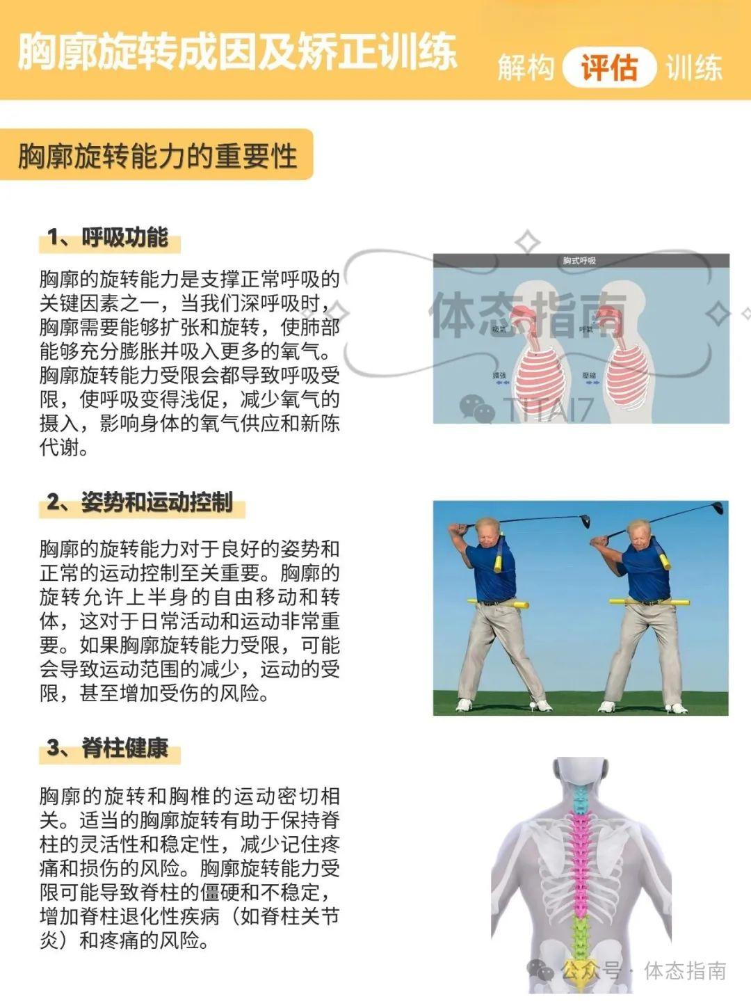 【胸廓旋转】成因、评估、运动矫正思路 - 知乎