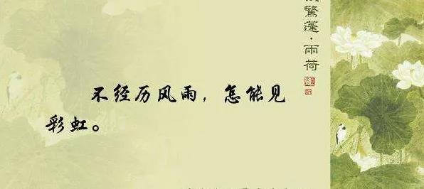 朗嘉传媒艺考即兴评术实战分析2不经历风雨怎能见彩虹