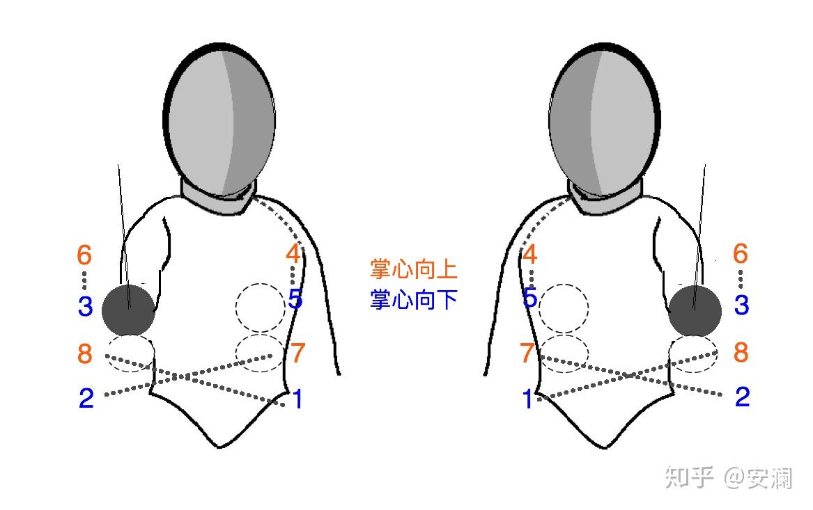 击剑的基本部位划分(花剑/重剑) - 知乎