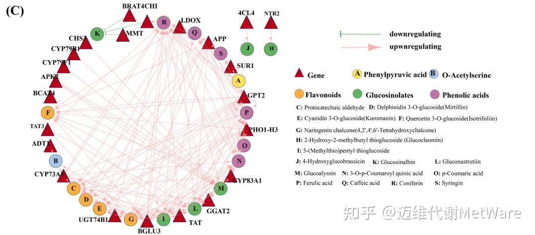 相关性网络图 | 解密转录组+代谢组的高频图 - 知乎