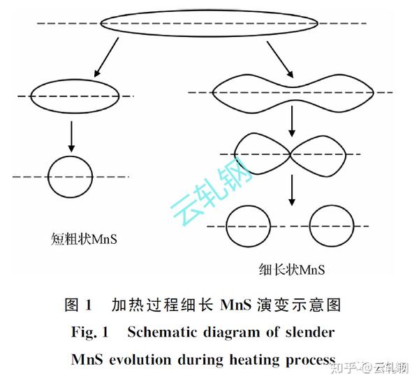 加热过程钢中夹杂物演变的研究进展 - 知乎