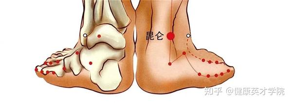 足踝外侧的四个穴位，也是人体经络的四个要穴！ - 知乎