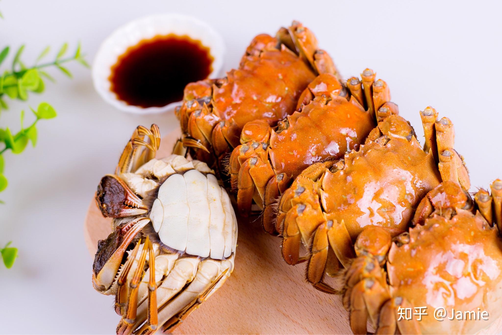 大闸蟹拍摄|摄影|产品摄影|上海摄食度美食 - 原创作品 - 站酷 (ZCOOL)