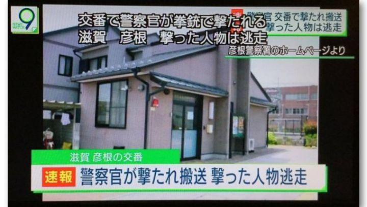 日本警界突发枪案 巡查部长遭刚毕业新警爆头毙命 知乎