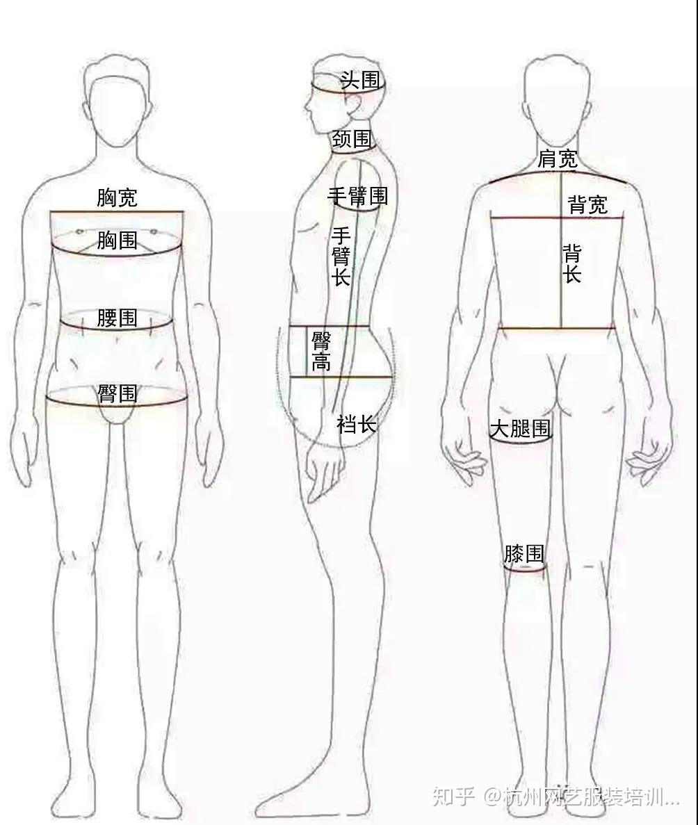 男子人体各部位名称男子服装号型各系列控制部位数值身高与腰围搭配