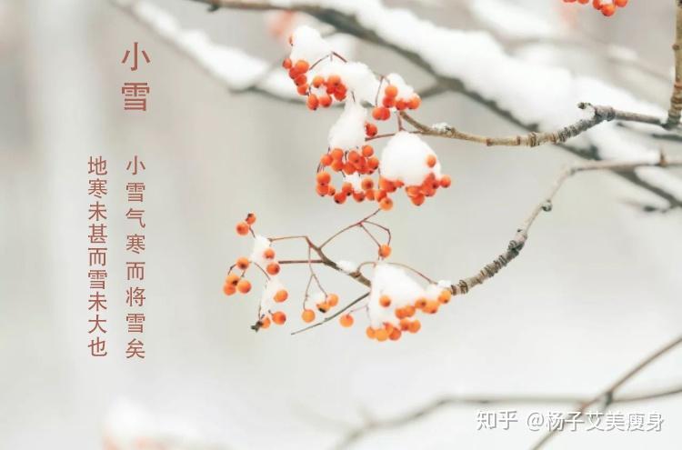 小雪养生四字诀,简单易做防生病!