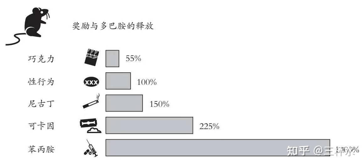 成瘾在放纵中寻找平衡笔记