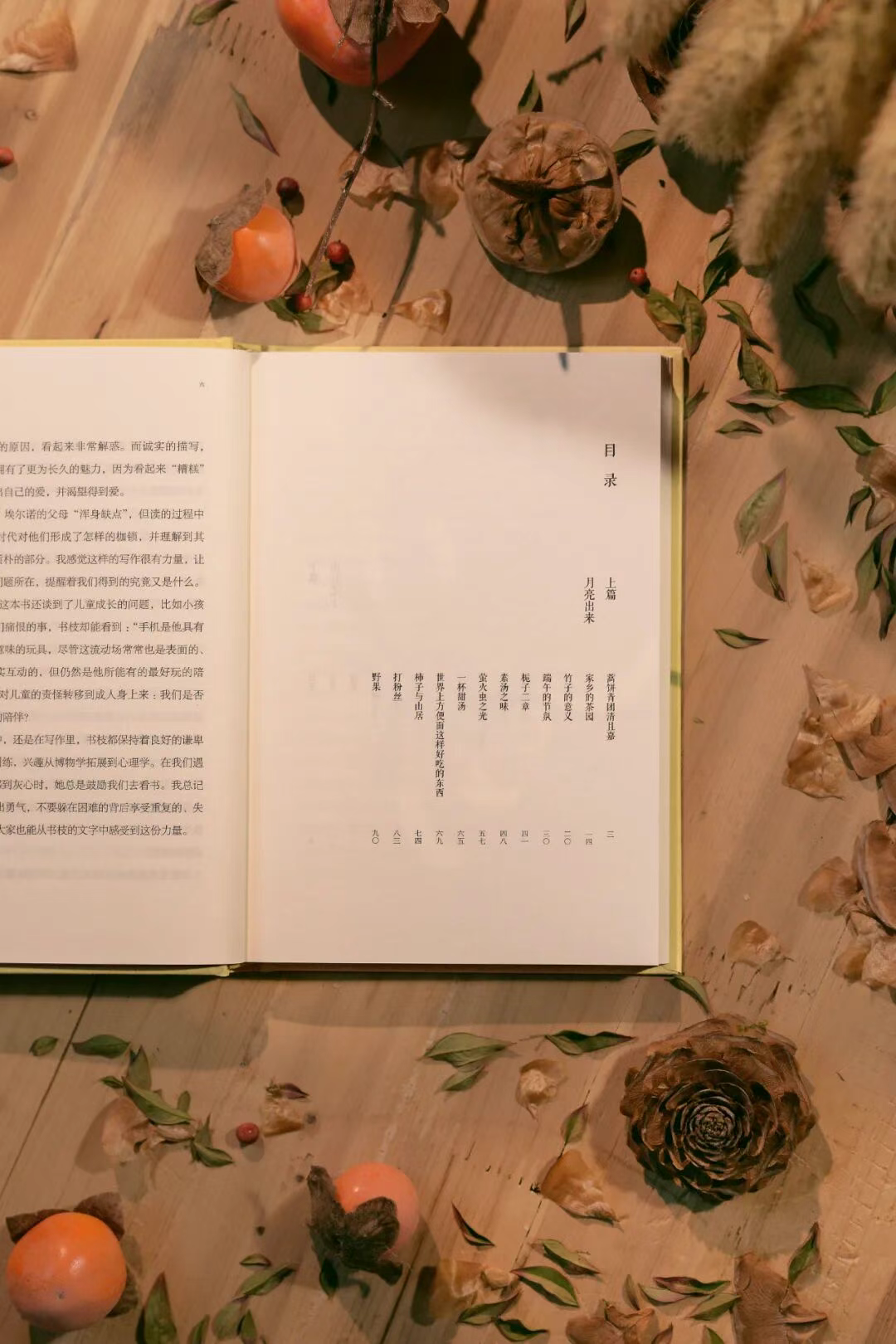 豆瓣8.6!看完她的文字,下班我立马去买柿子! - 知乎