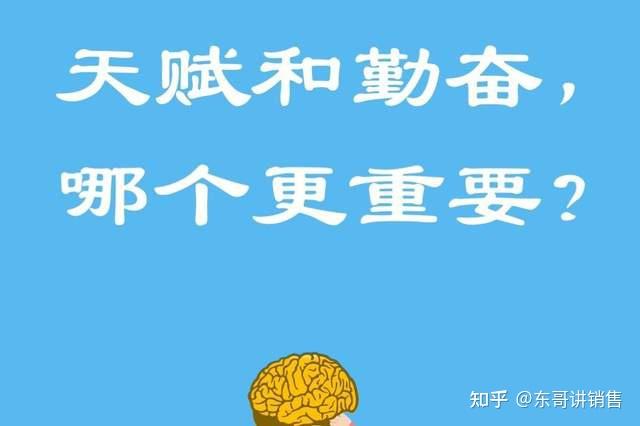 有人问我天赋与努力哪个更重要