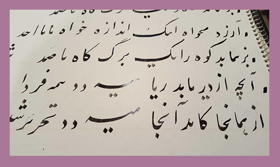 学波斯语的网友晒出作业,让人想到歌词"圈圈圆圆年年",像天外来信.