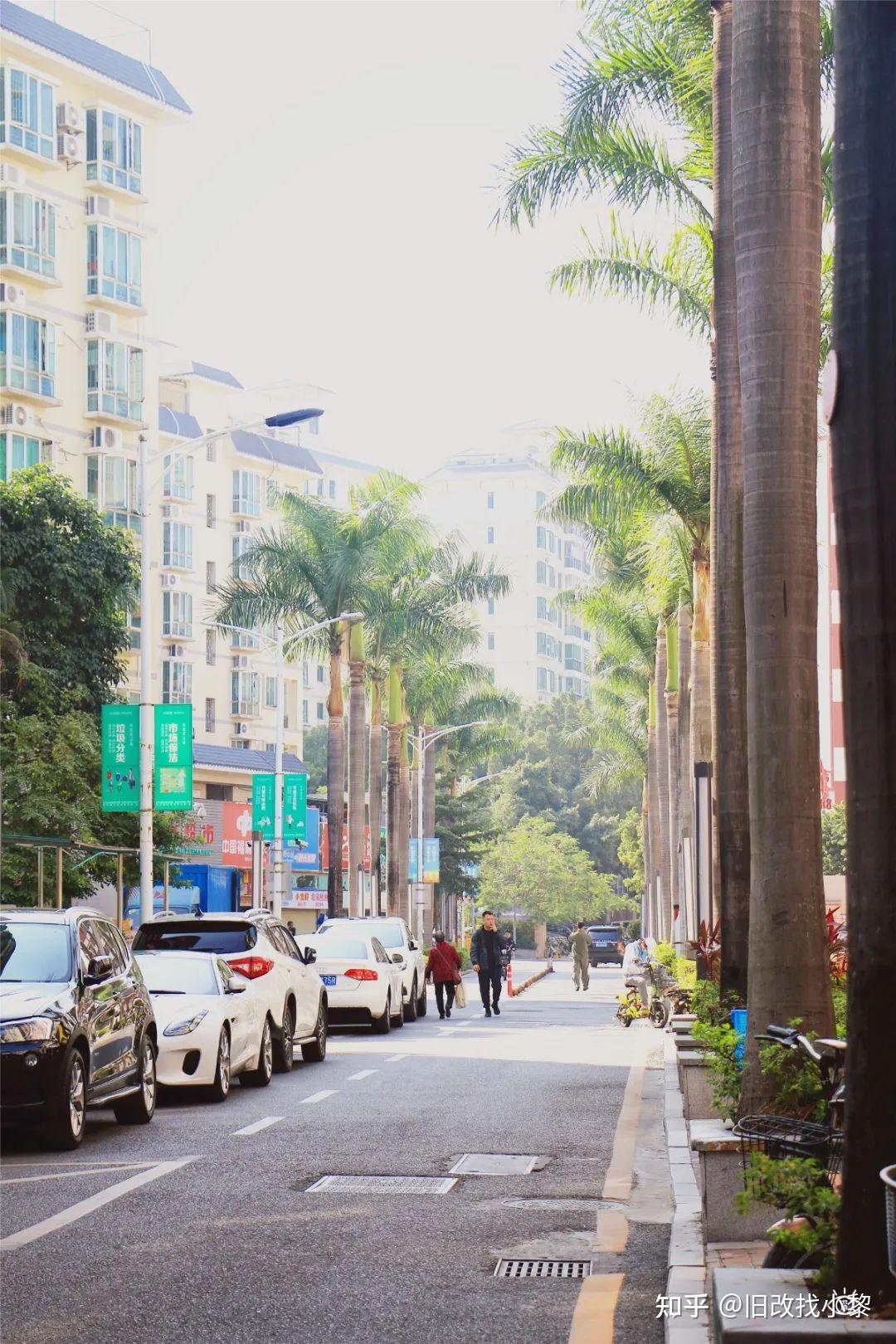 深圳市南山区丁头村图片