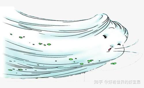 到底是什么在操控着风风的形成大自然的奇妙反应