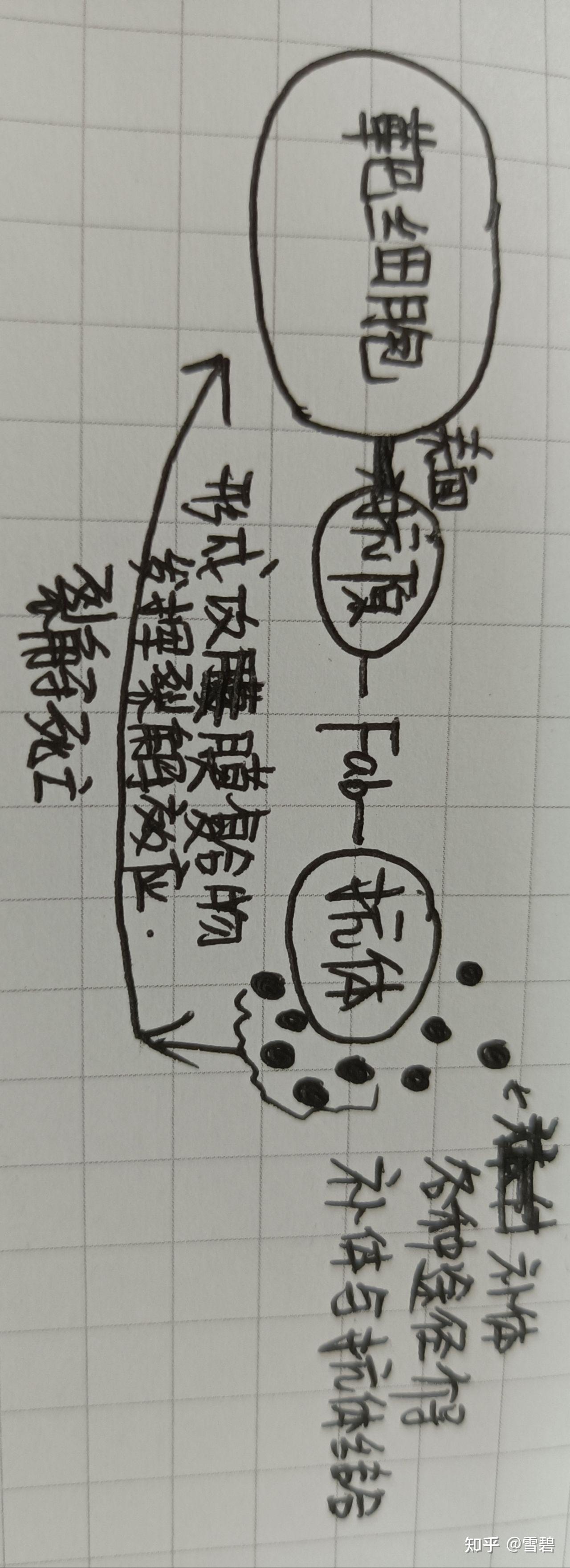 ADCC ADCP CDC adcc-adcp-cdc