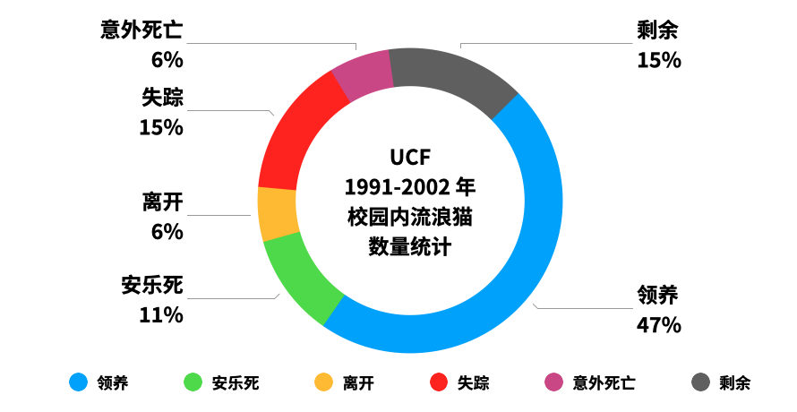 流浪动物数据图图片