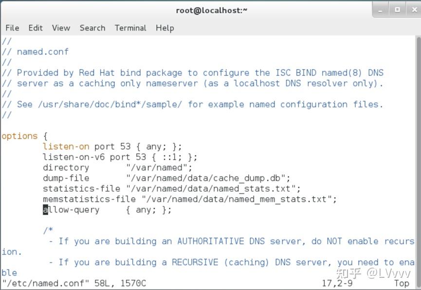 Linux dns 