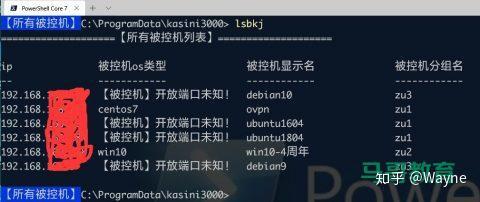 比ansible好10倍的批量运维神器 - 知乎