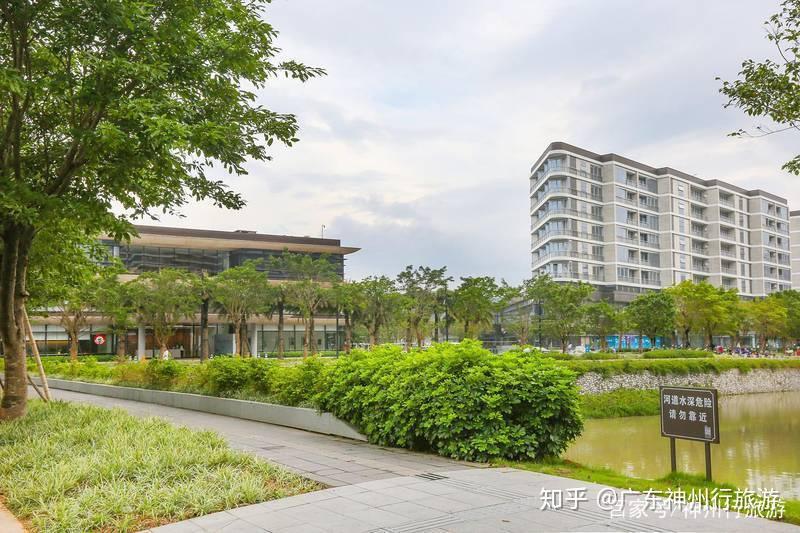 享受惠州小径湾铂金色的沙滩让这个中秋假期过得不简单