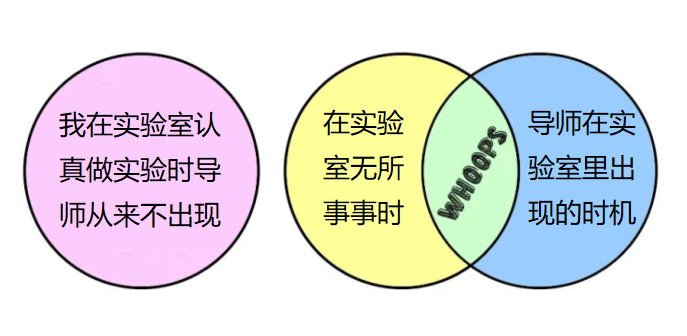 啥用——6——做某個科研項目時我的心情