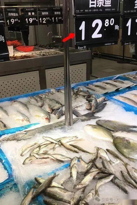 不可思议浙江白条鱼身价飙升据说最高卖到18元一斤