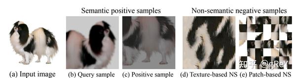 Robust Contrastive Learning Using Negative Samples With Diminished ...