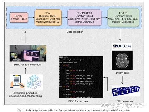 Comput Biol Med：DFC-GCNN：基于动态功能连接-图神经网络的印度电影情感脑动力学fMRI数据集构建 - 知乎