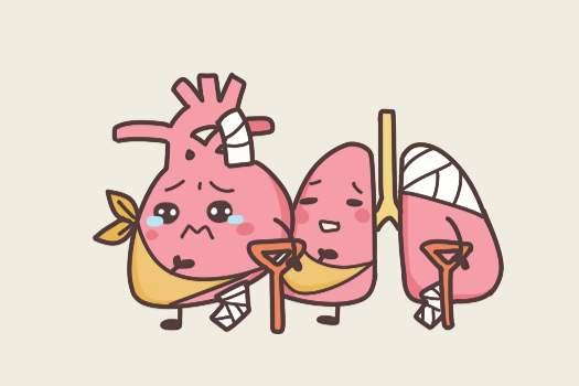 sarscov2感染可能损伤肾脏睾丸肝脏等多个脏器