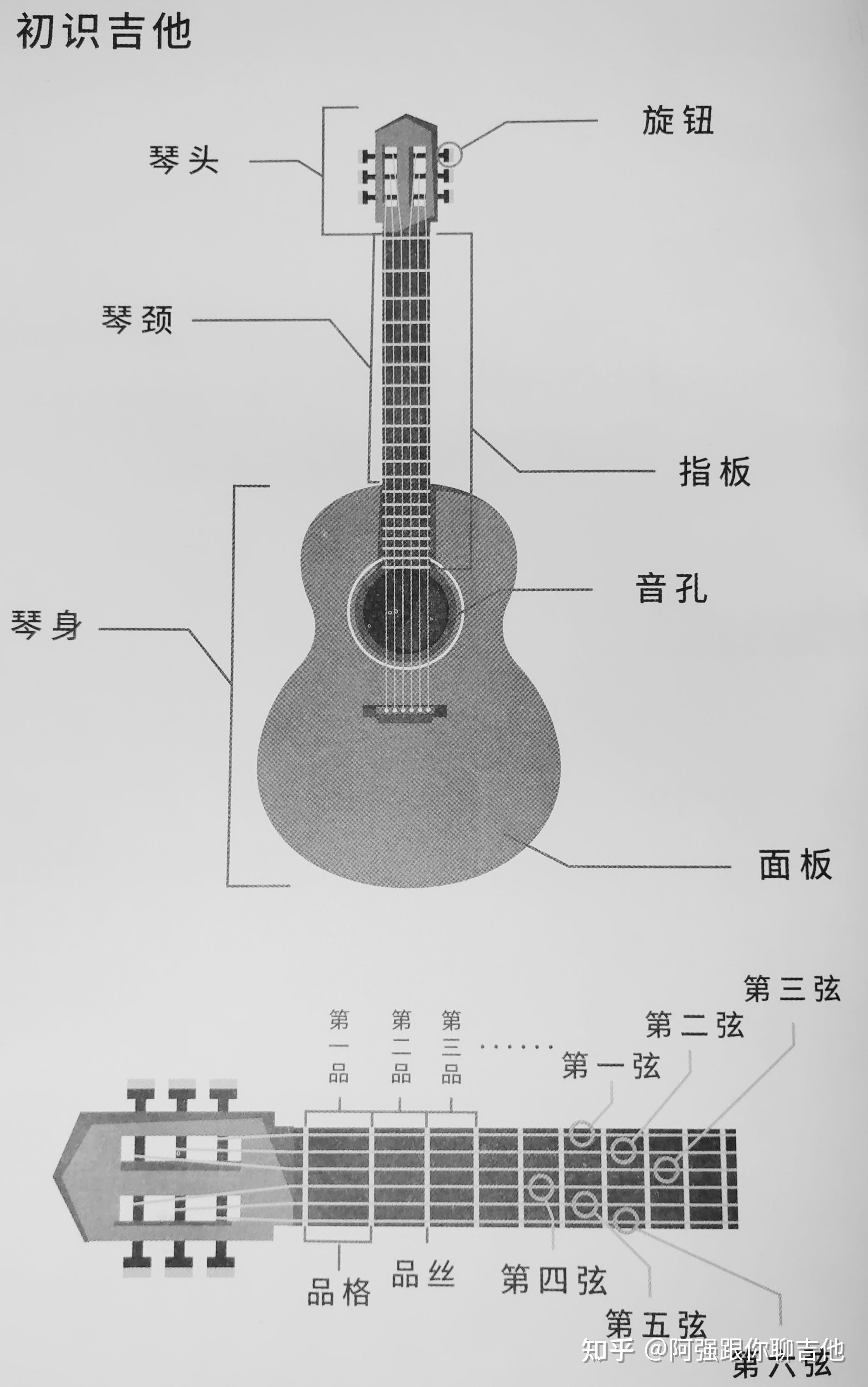 认识吉他结构图图片