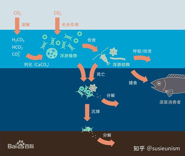 关于地球元素循环的那些事儿 - 知乎