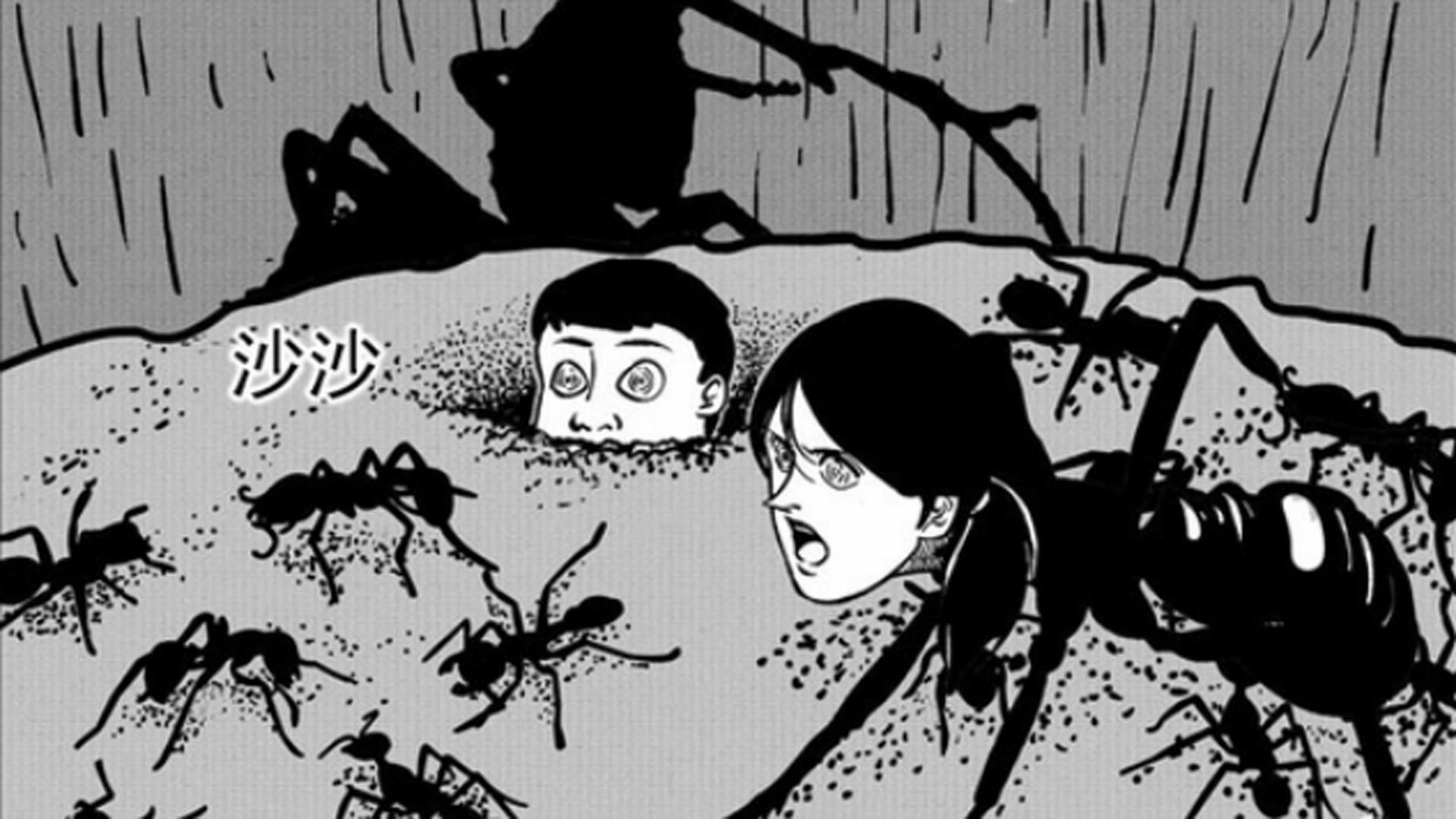 发布于 14 小时前 · 213 次播放龙珠(动画)游戏动漫历史文化 acg相关