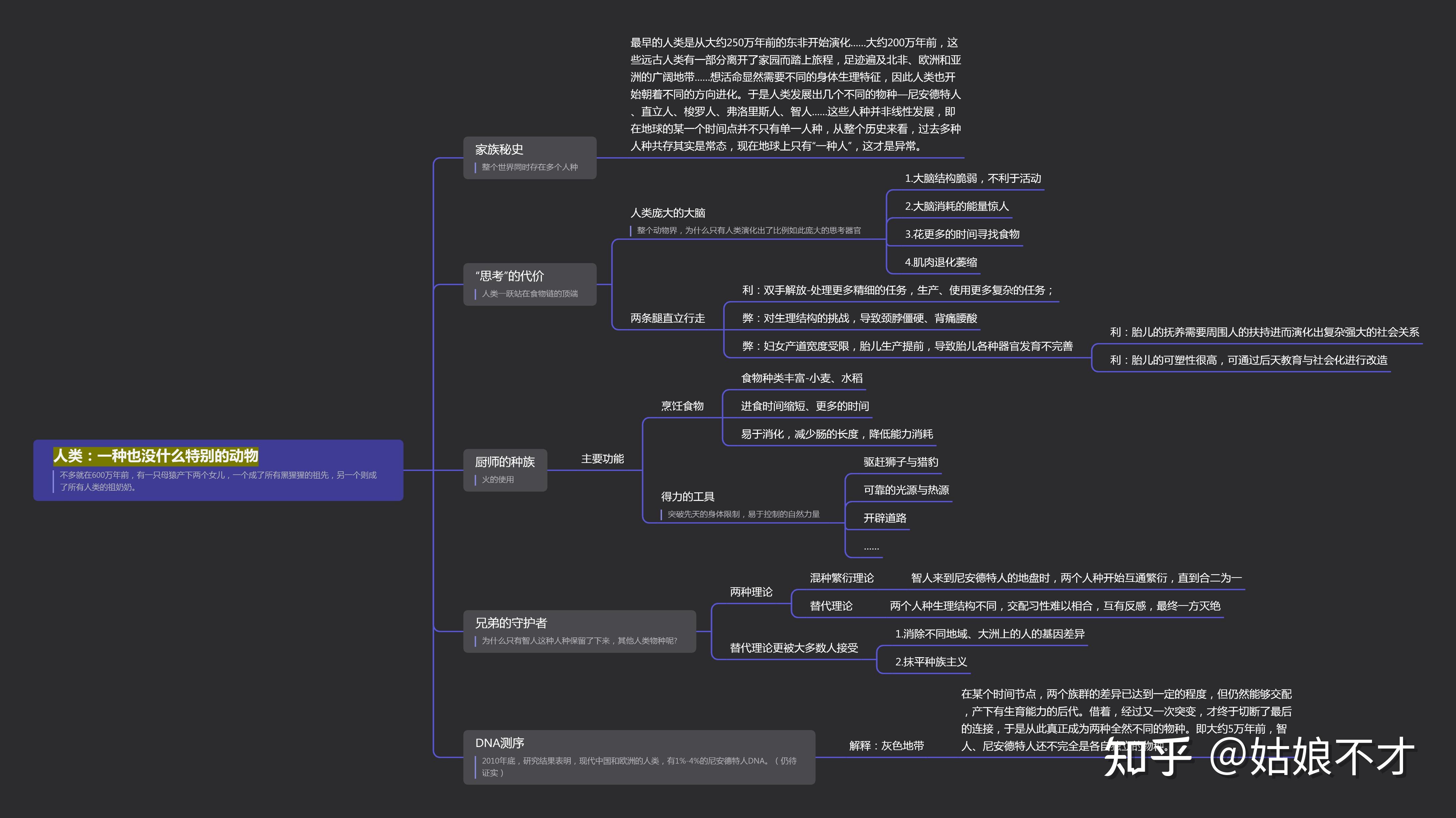 《人类简史》