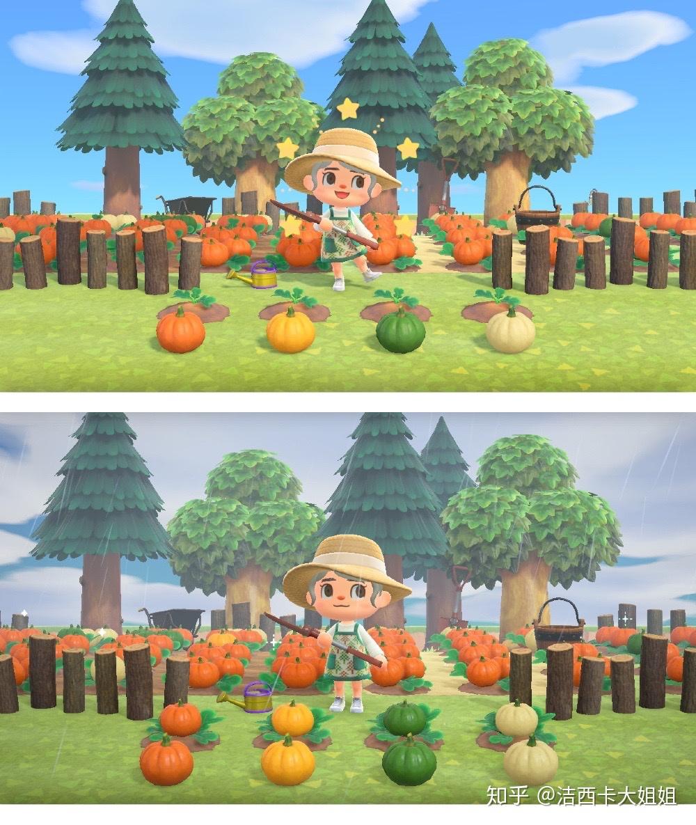 🎃动森万圣节南瓜种植攻略🎃 - 知乎