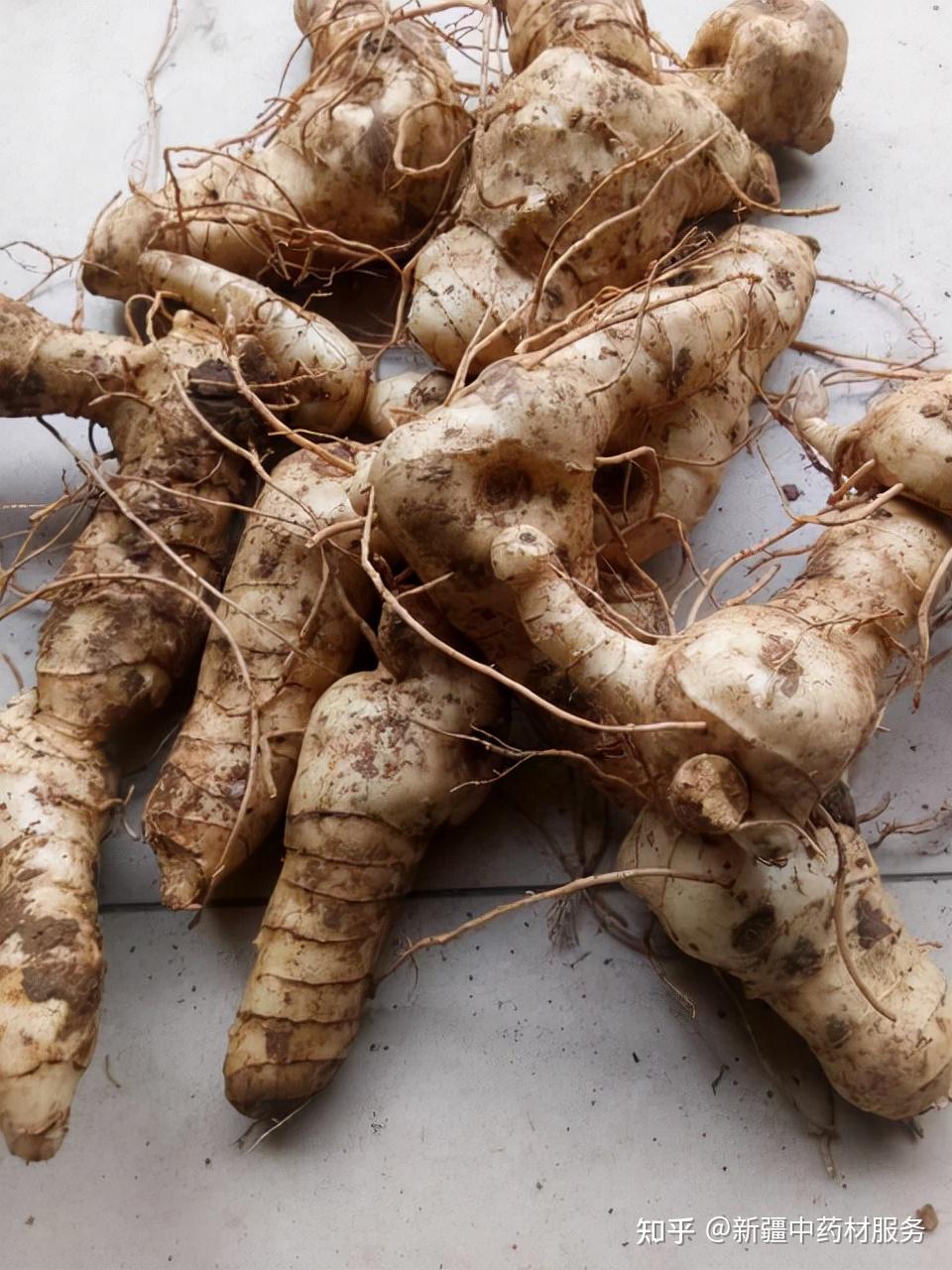 高鹏说药材:黄精用量巨大,选种优良品种效益高,种植前景看好 - 知乎