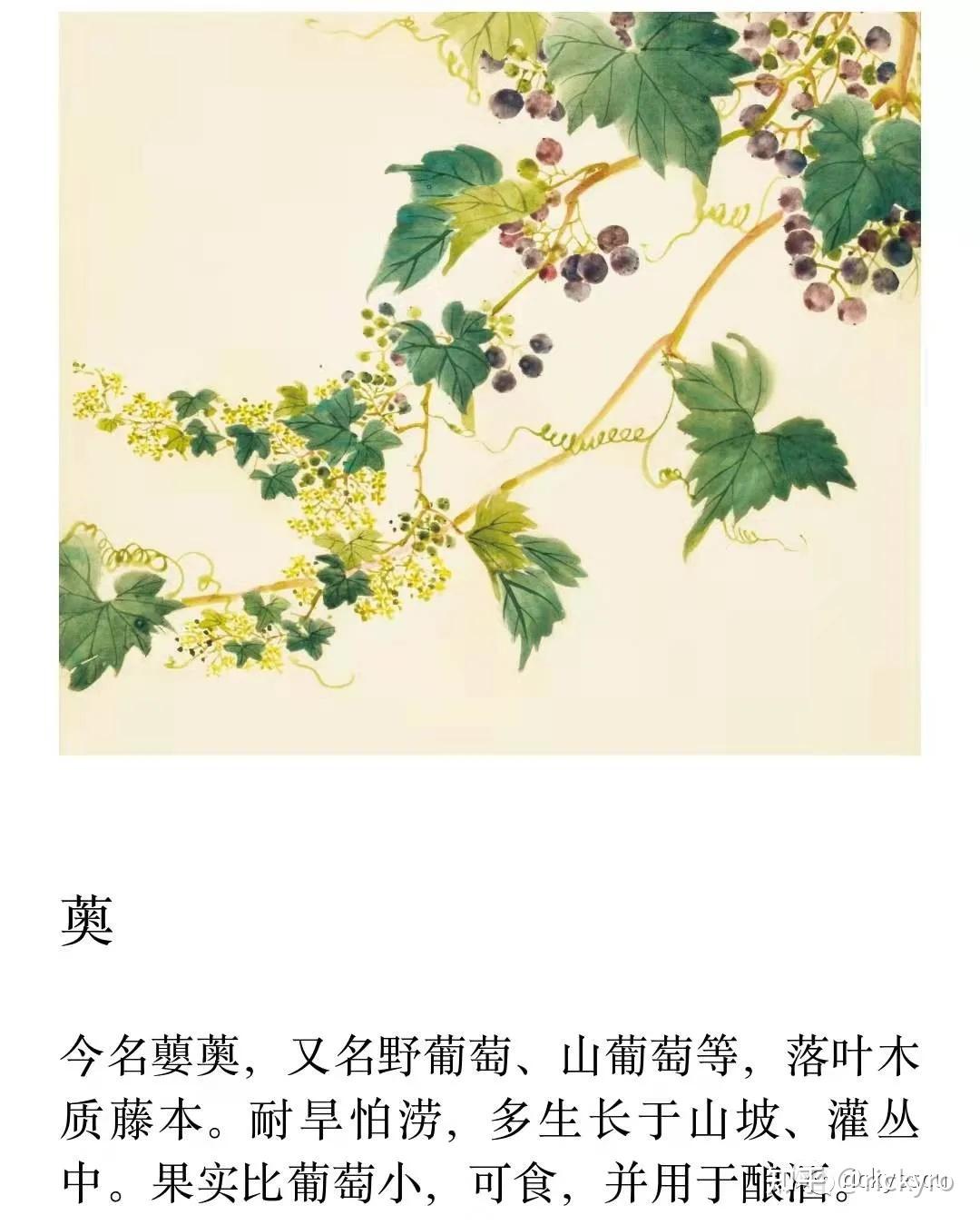 诗经今译豳风不是结束的结束周公二次东征的功业振衰起弊留有希冀