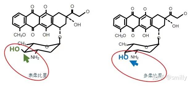 蒽环类药物知多少 - 知乎