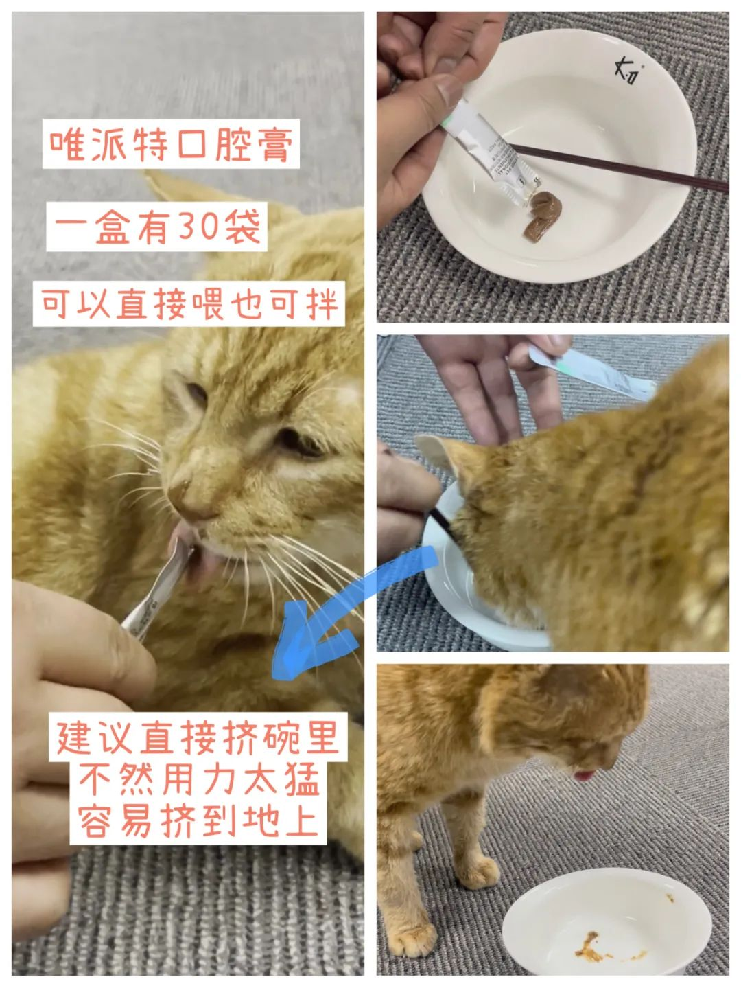 貓口炎實操如何鑑別如何處理關於拔牙