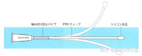 大鼠灌胃针,小鼠灌胃针 - 知乎