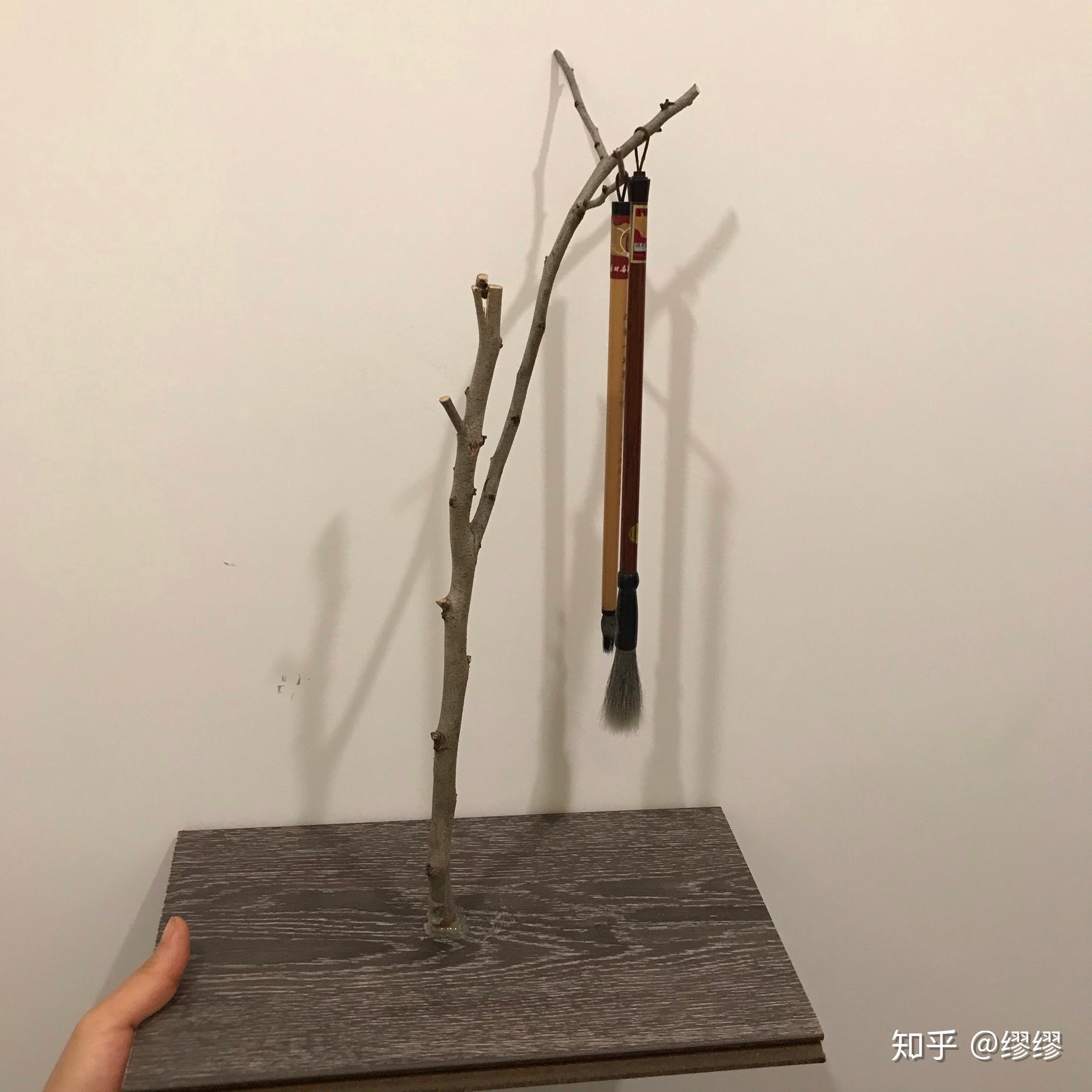 最后提醒一下,一定要捡一些漂亮的树枝哦!