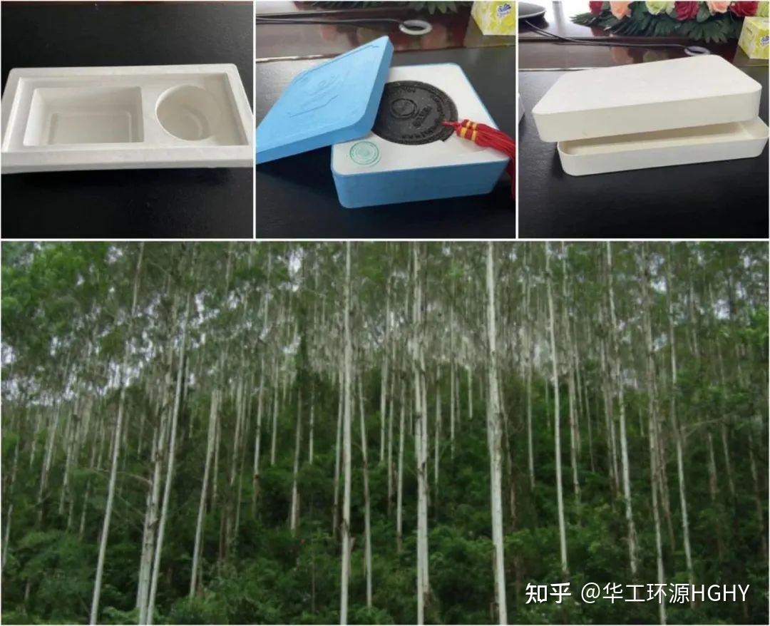 不同的纸浆模塑生产原料，到底有什么区别呢？ - 知乎
