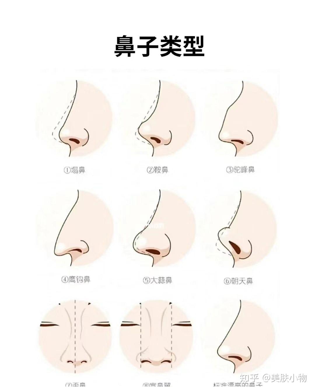 如何畫鼻子？最簡單又寫實的方法 - 畫WOW！