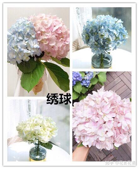 鲜切花材绣球花的养护教程 知乎
