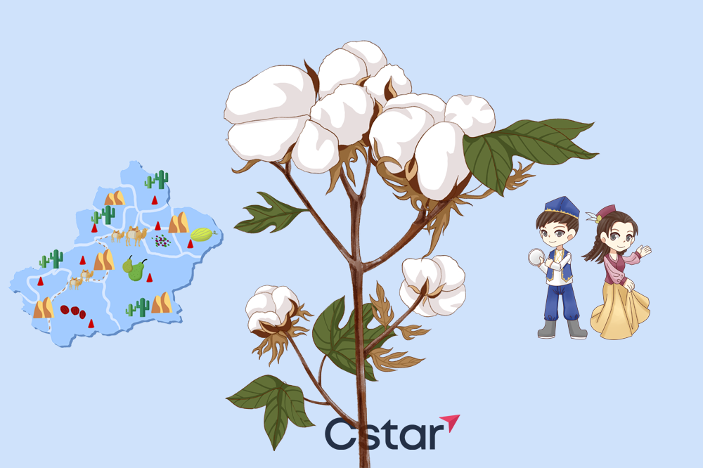 欧美英加联手制裁中国立即反击制裁它们对新疆棉花一无所知