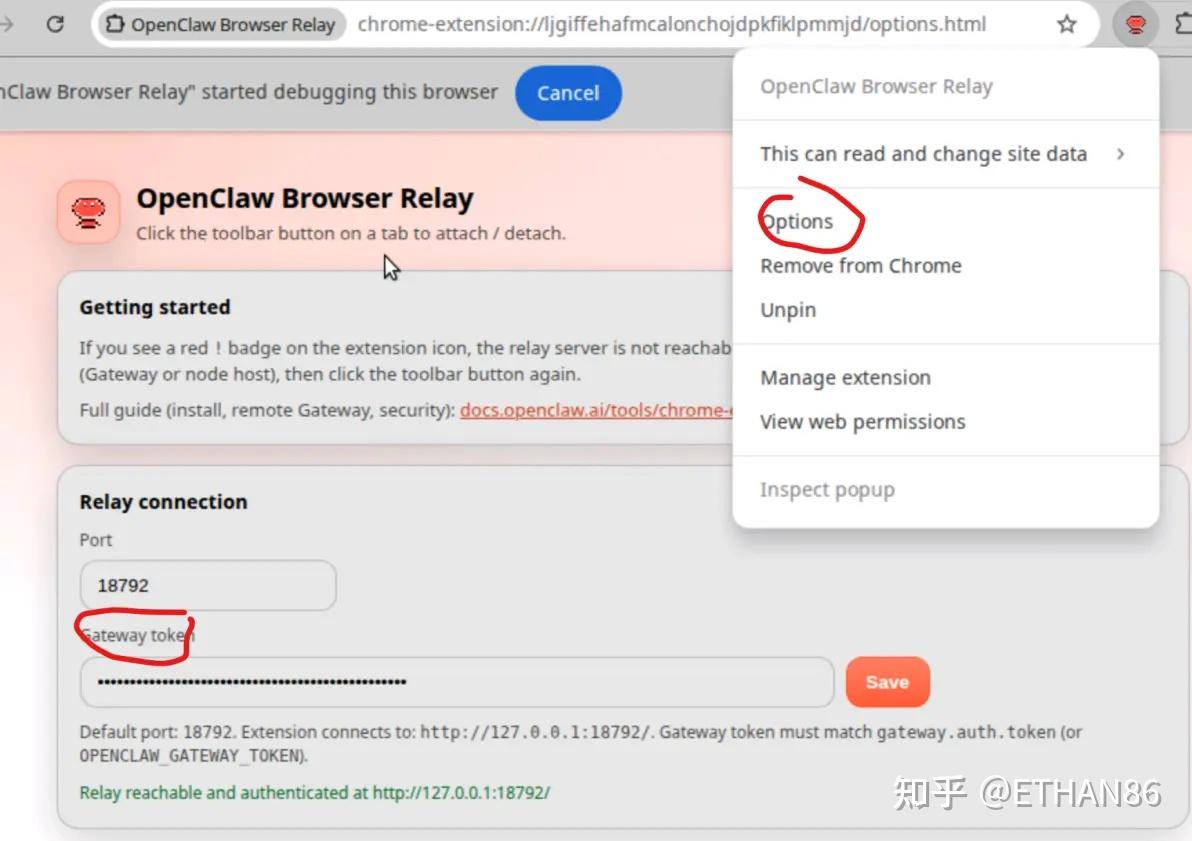 Openclaw 实现钉钉定时消息和chrome上网 - 知乎